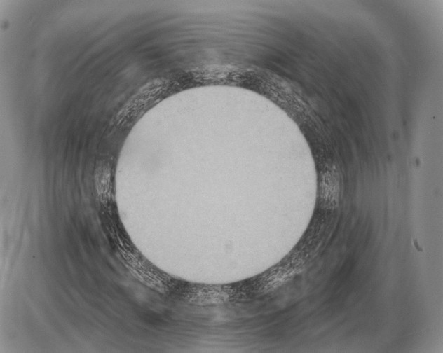 X0000085000820200703191047