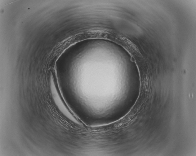 X0000085000821200703191047