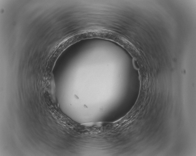 X0000085000822200703191047