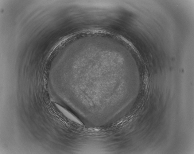 X0000085000823200703191047