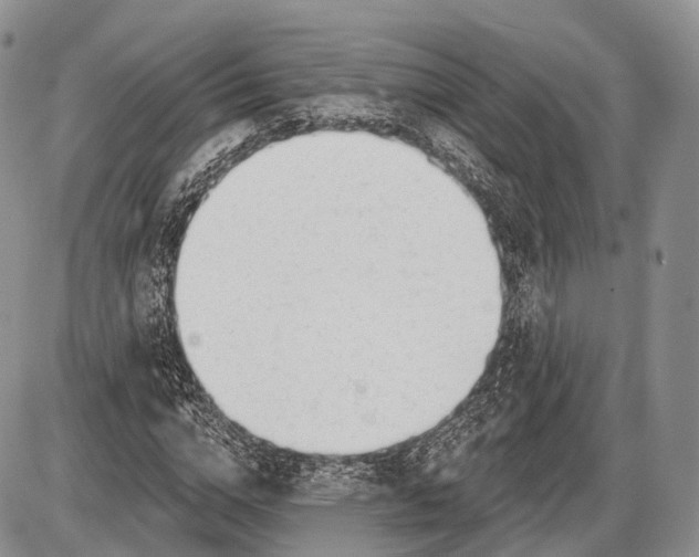 X0000085000824200703191047