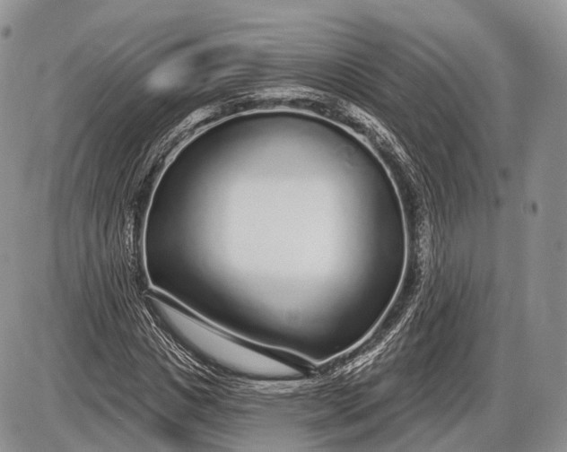 X0000085000825200703191047