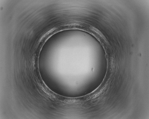 X0000085000826200703191047