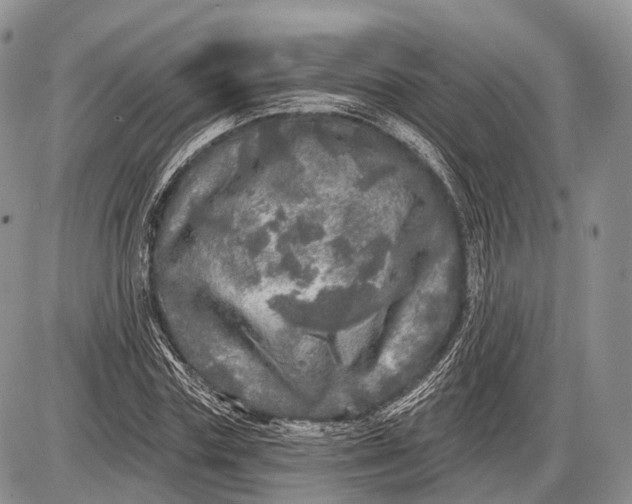 X0000085000827200703191047