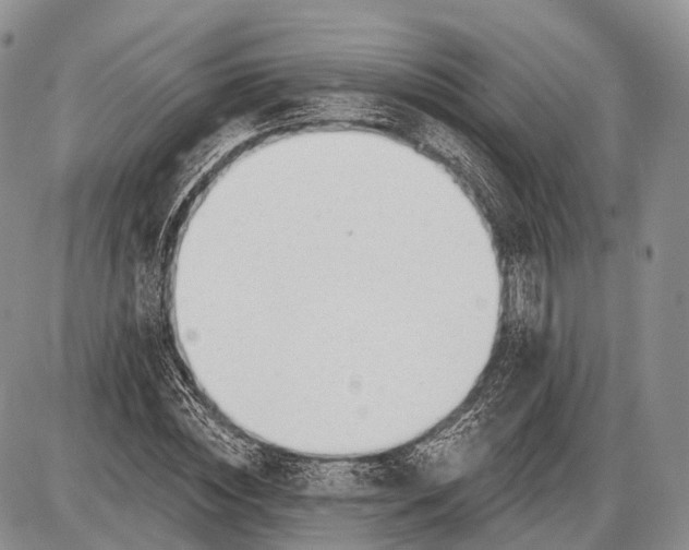 X0000085000828200703191047