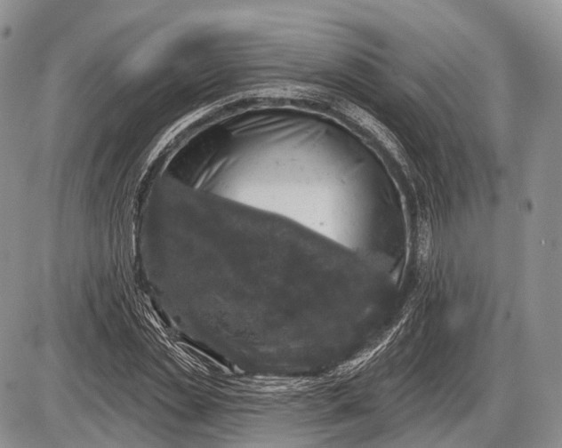 X0000085000829200703191047