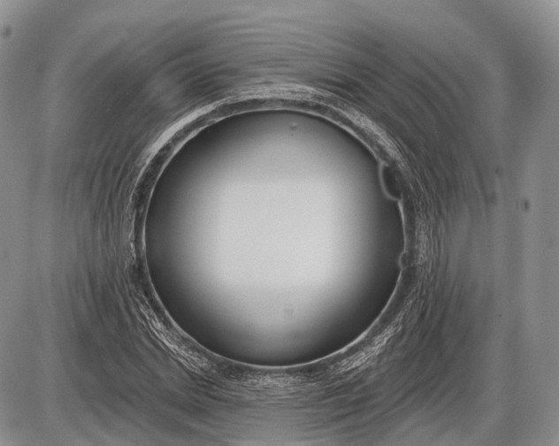 X0000085000830200703191047