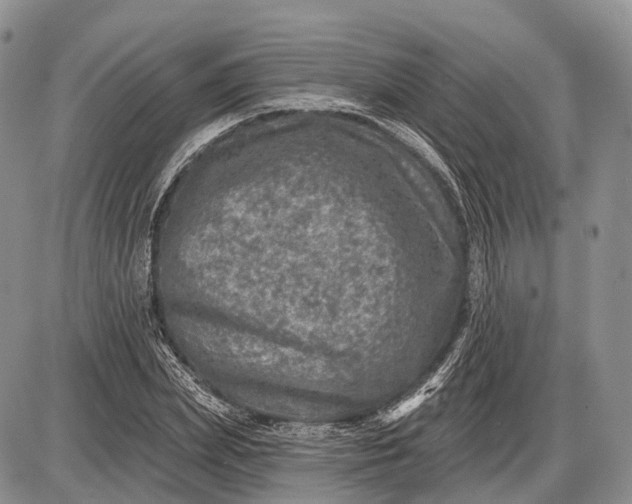 X0000085000831200703191047