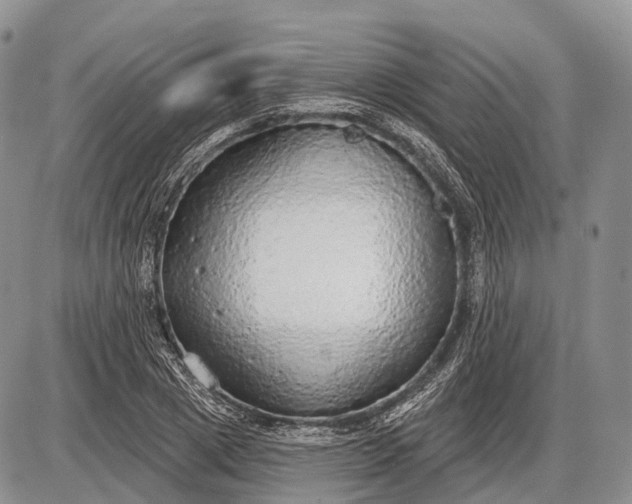 X0000085000833200703191048