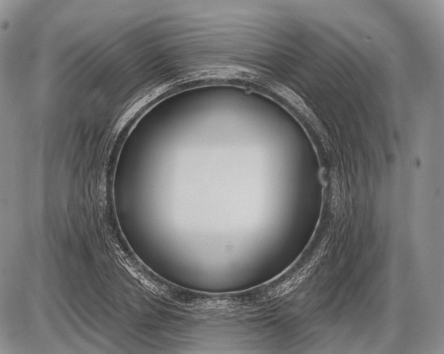 X0000085000834200703191048