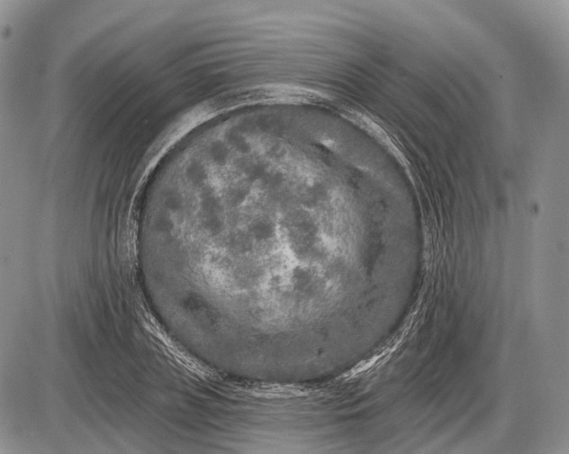 X0000085000835200703191048