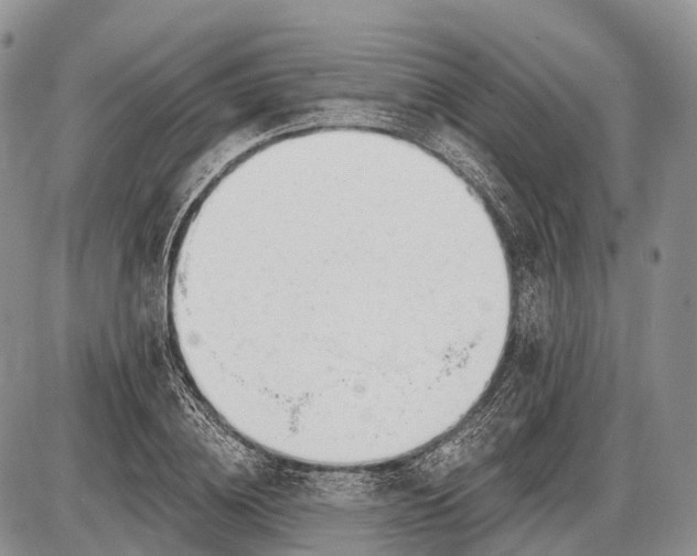 X0000085000836200703191048