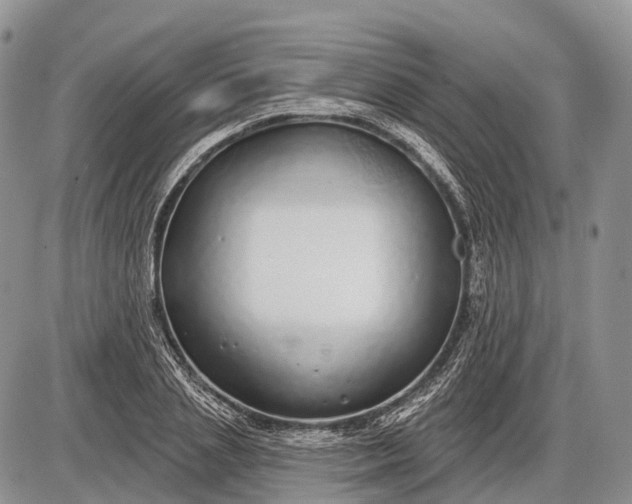 X0000085000837200703191048