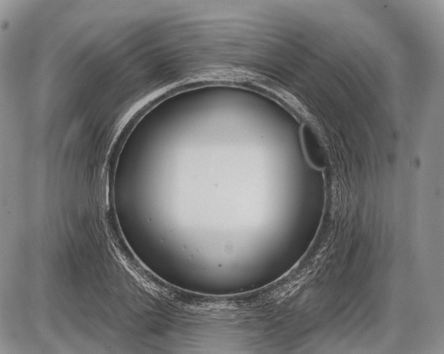 X0000085000838200703191048