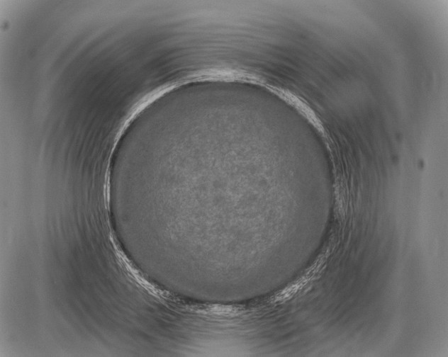 X0000085000839200703191048