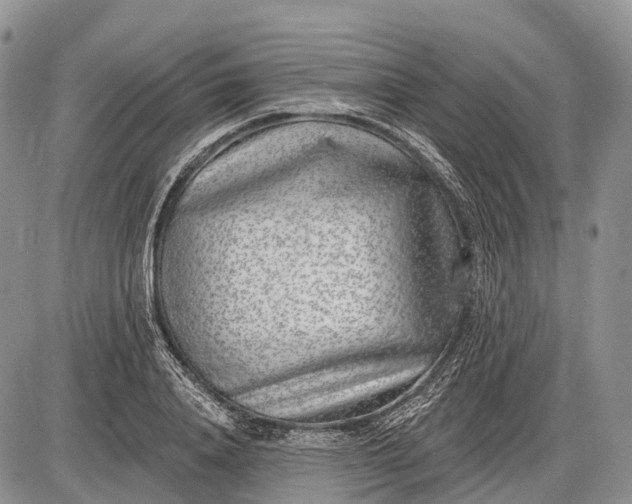 X0000085000840200703191048