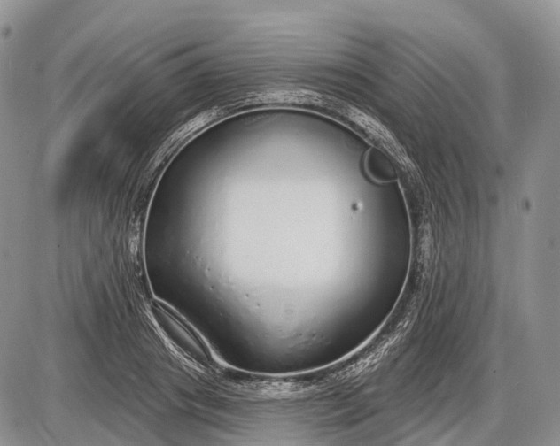 X0000085000841200703191048