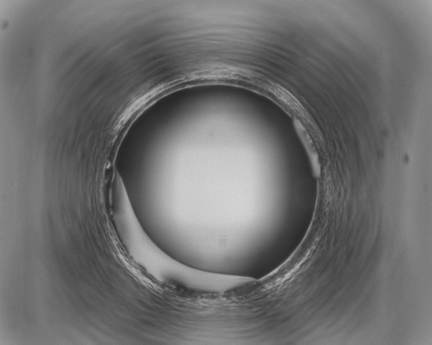 X0000085000842200703191048