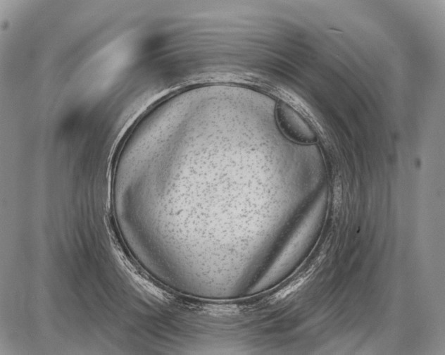 X0000085000844200703191048