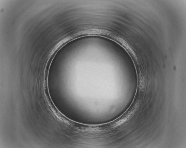 X0000085000845200703191048