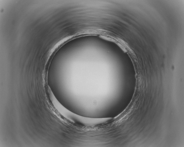 X0000085000846200703191048