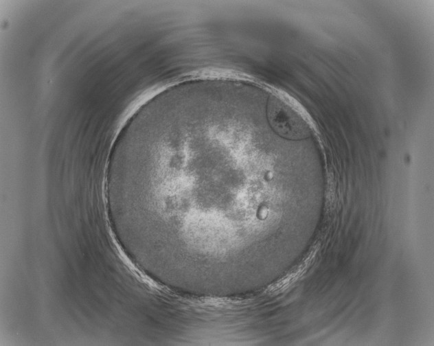 X0000085000847200703191048