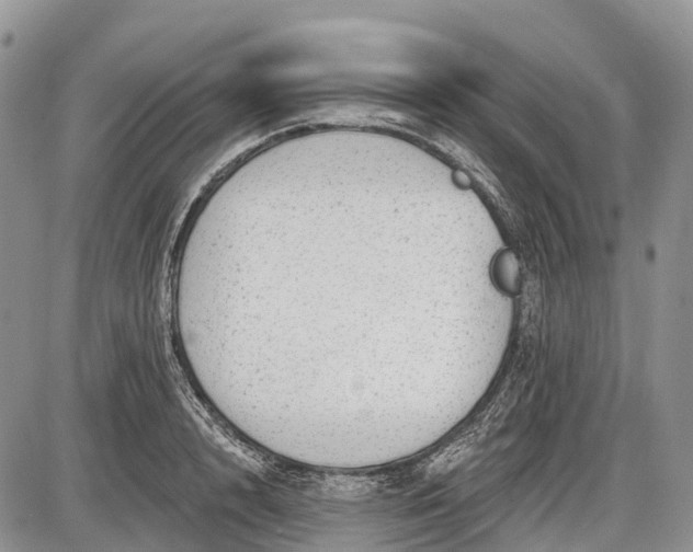 X0000085000848200703191048