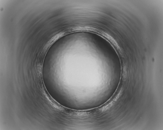 X0000085000849200703191048