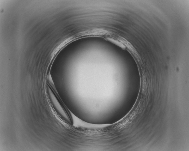 X0000085000850200703191048