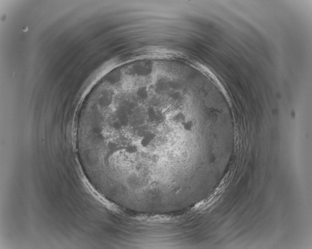 X0000085000851200703191048