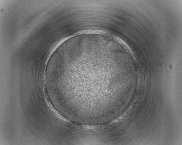 X0000085000852200703191048