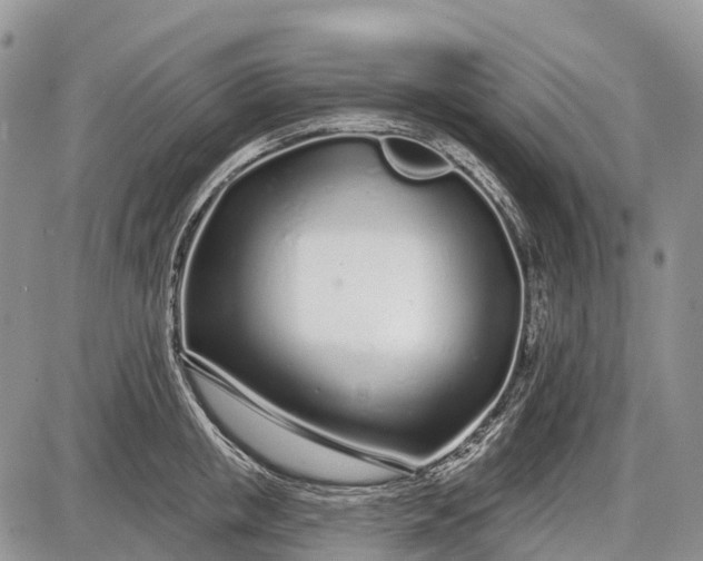 X0000085000853200703191048