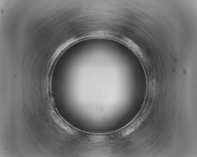 X0000085000854200703191048