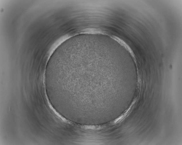 X0000085000855200703191048