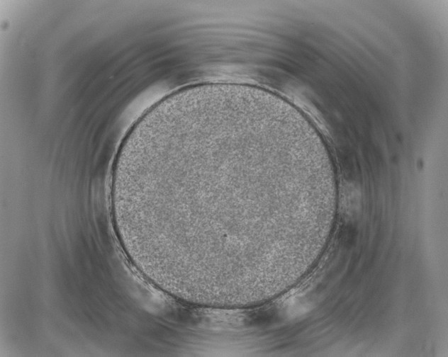 X0000085000856200703191048