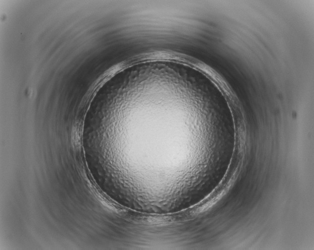 X0000085000857200703191048