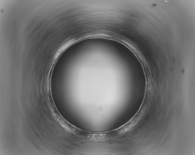 X0000085000858200703191048