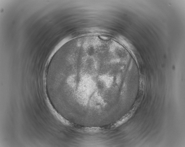 X0000085000859200703191048