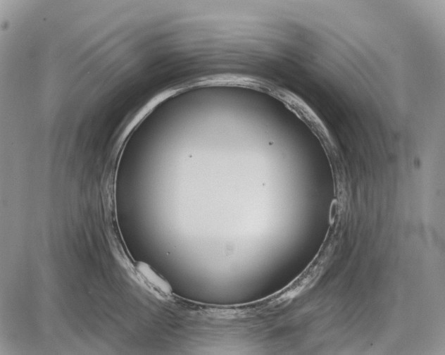 X0000085000860200703191048