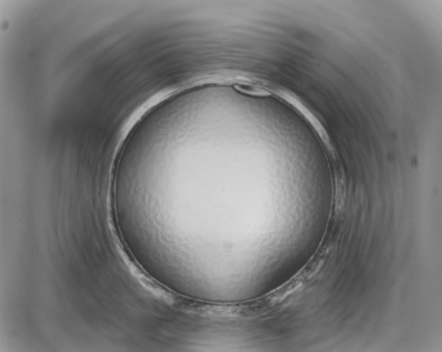 X0000085000861200703191048