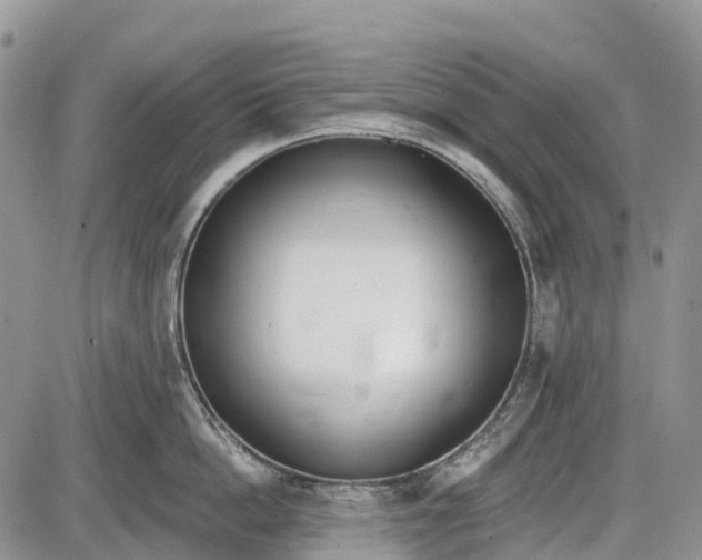 X0000085000862200703191048