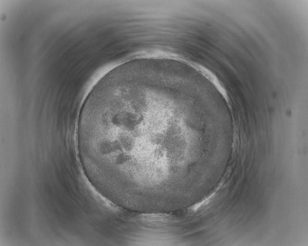 X0000085000863200703191048