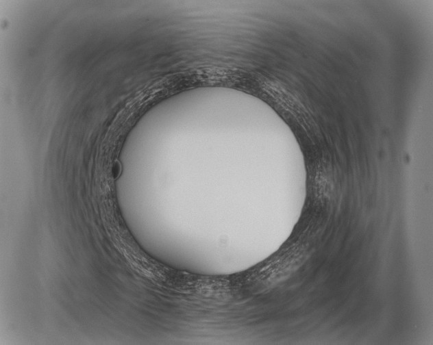 X0000085000865200703191047