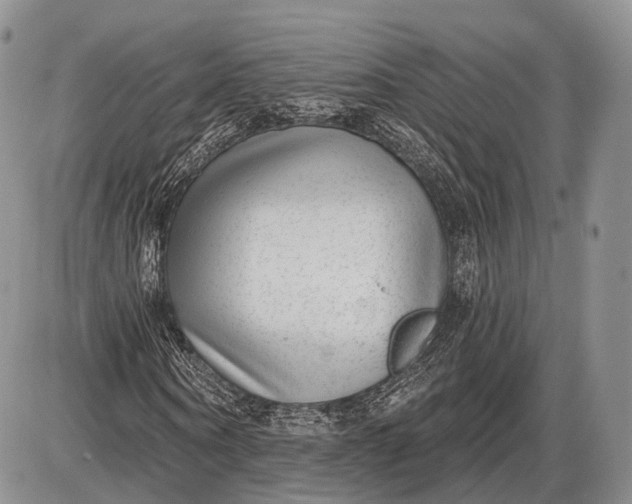 X0000085000866200703191047