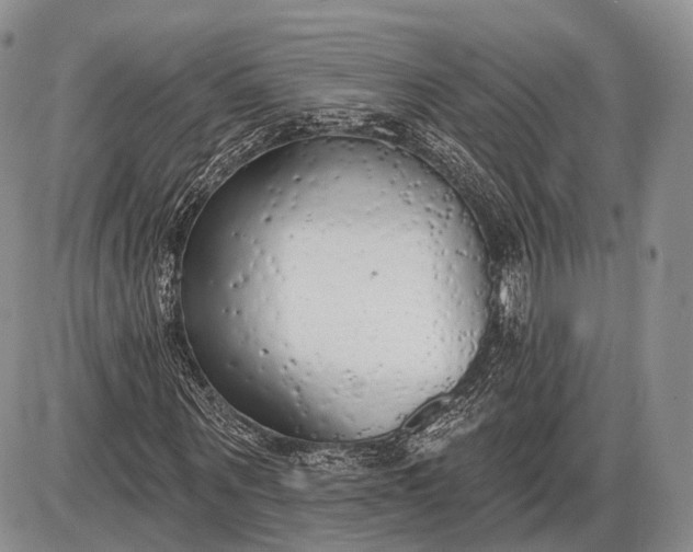 X0000085000867200703191047