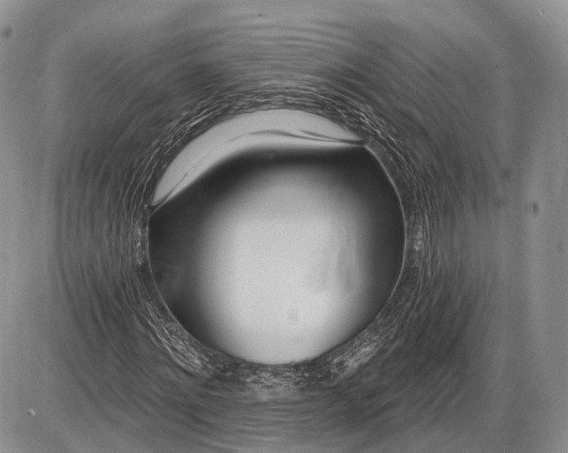 X0000085000868200703191047