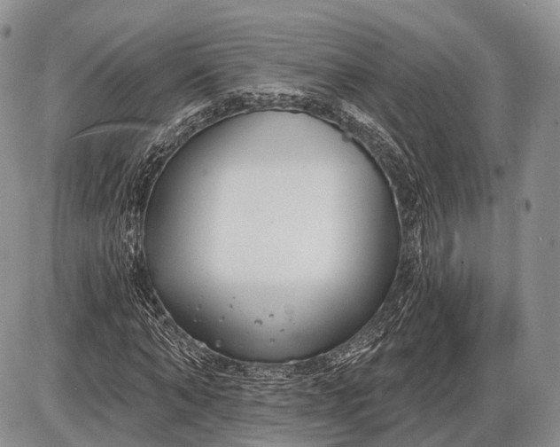 X0000085000870200703191047