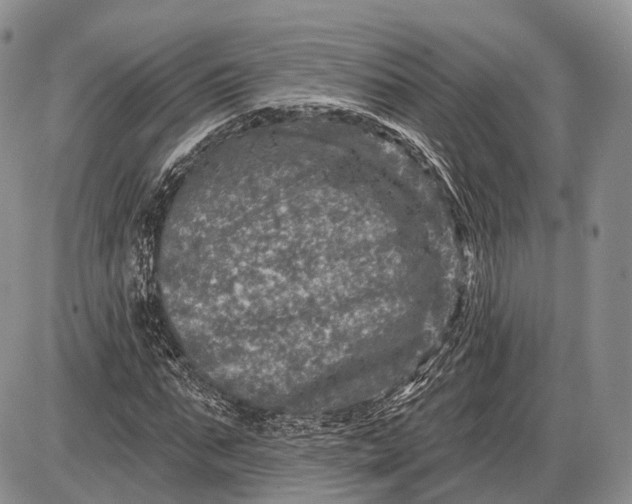 X0000085000871200703191047