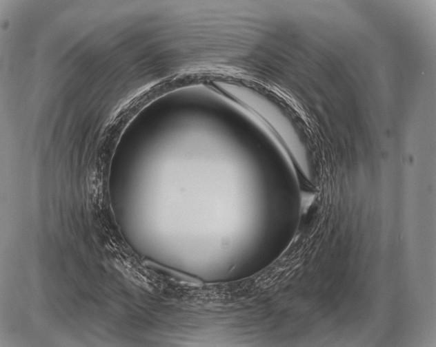 X0000085000872200703191047