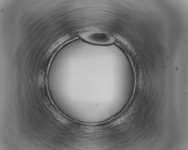 X0000085000873200703191047